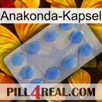 Anaconda Capsule 21